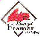 Budget Framer Franchise