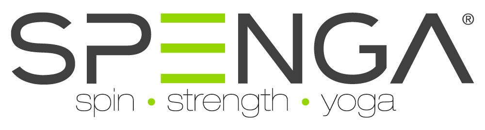 Spenga logo