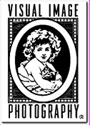 The Visual Image logo