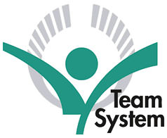 Team System Provider Franchise