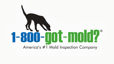 1-800-GOT-MOLD? logo