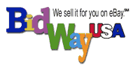 BidWay USA eBay Stores Franchise