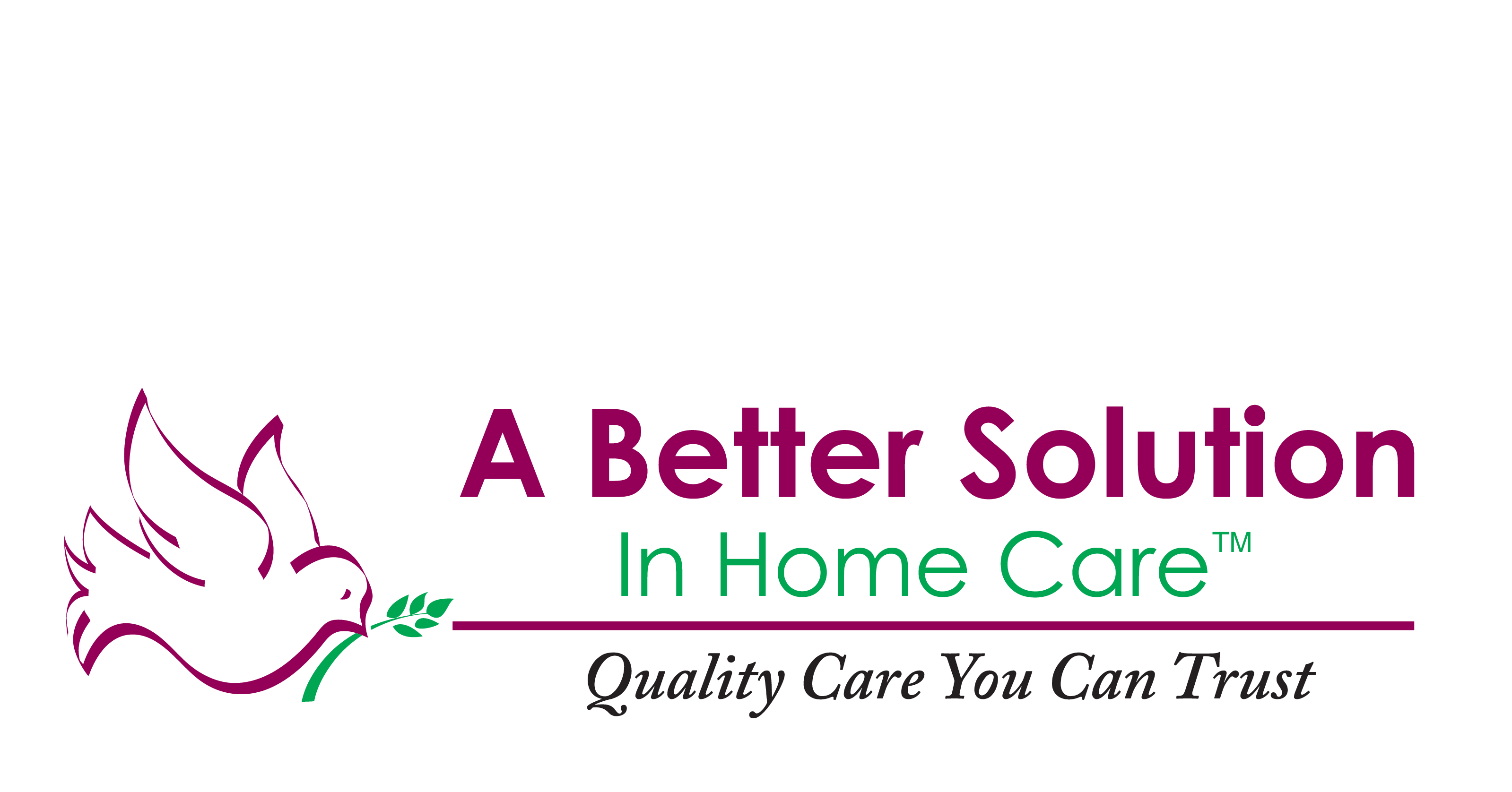 A Better Solution In Home Care Franchise