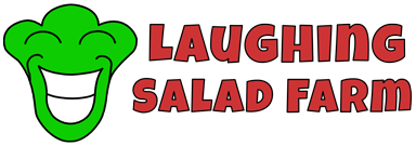 Laughing Salad Franchise