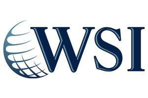 WSI Digital Marketing logo