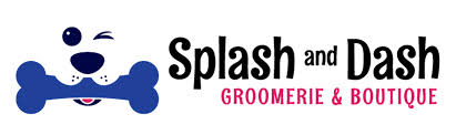 Splash and Dash Franchise