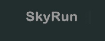 SkyRun Vacation Rentals logo