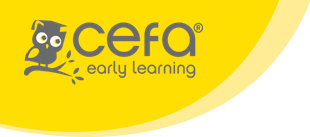 CEFA Early Learning Schools Franchise