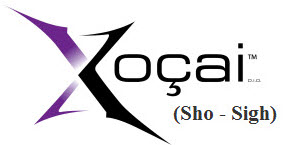 XOCAI Healthy Chocolate Franchise