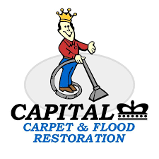 Capital Carpet Cleaning & Dye Franchise