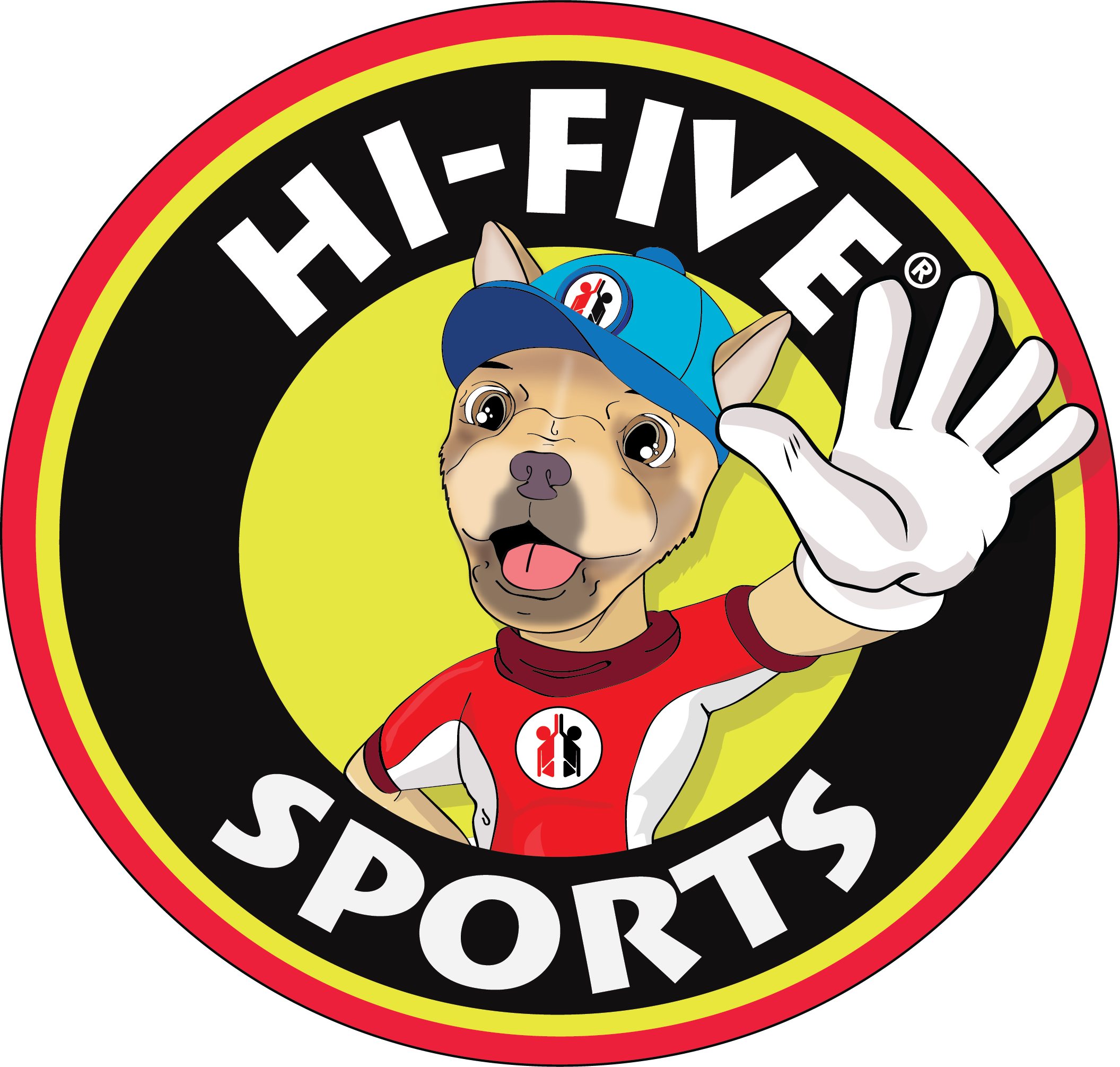 Hi-Five Sports Franchise