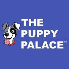 The Puppy Palace Franchise