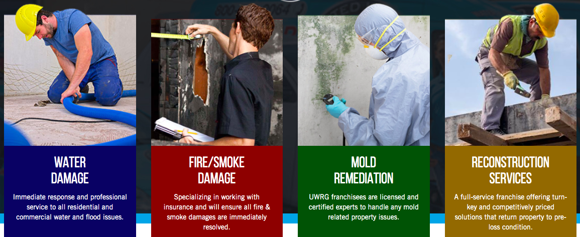 What is Orange Mold? - United Water Restoration Group