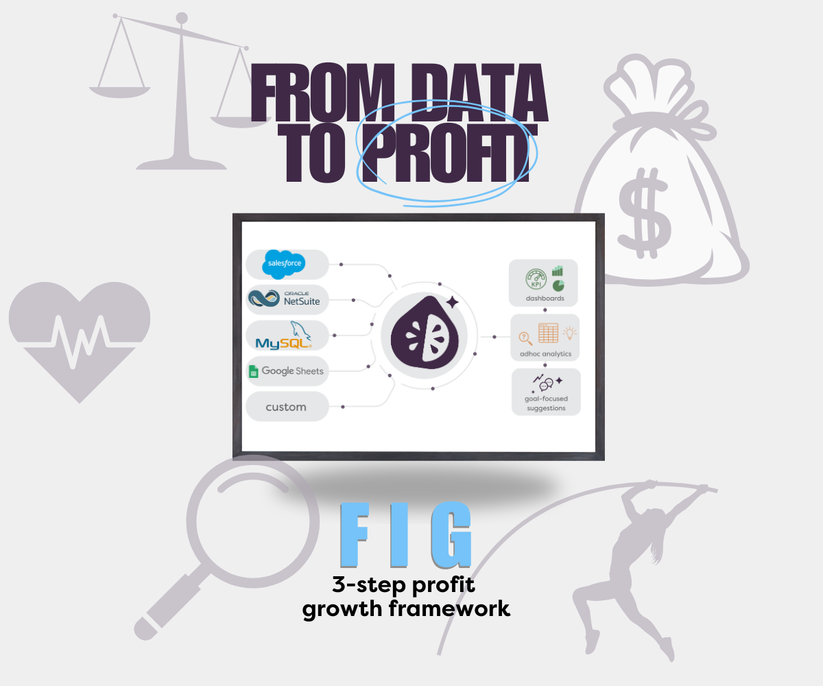 Data to Profit FIG Framework