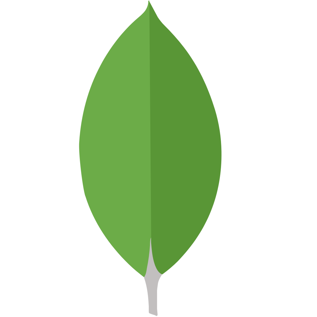 Connect Your MongoDB Data Source with Go FIg