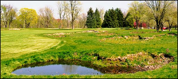 6fairway-lg.jpg
