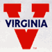 va_logo_75.gif