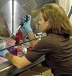 a_pruzinsky2_102803.jpg