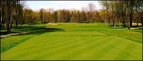 14th-lg.jpg