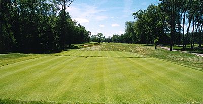 8a.jpg