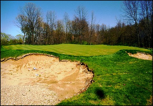 16green-lg.jpg