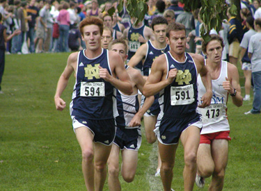 Loftus Sports Center