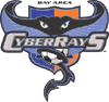 cyberrays.gif