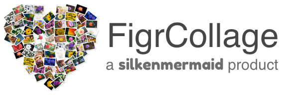 figrcollage - a silkenmermaid software product