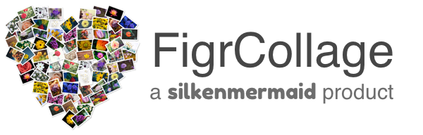 FigrCollage - a SilkenMermaid Software product