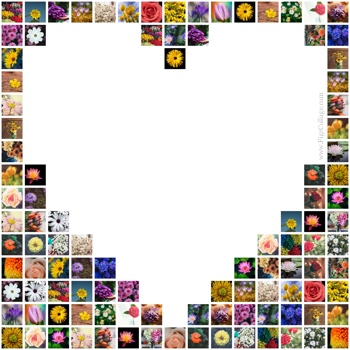 create heart shape collage online