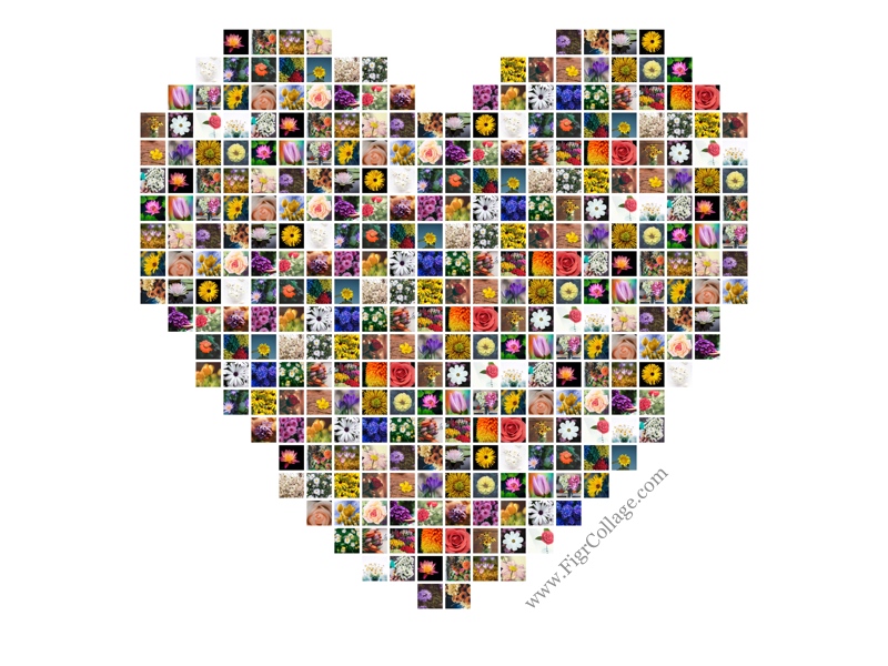 heart shape photo collage online