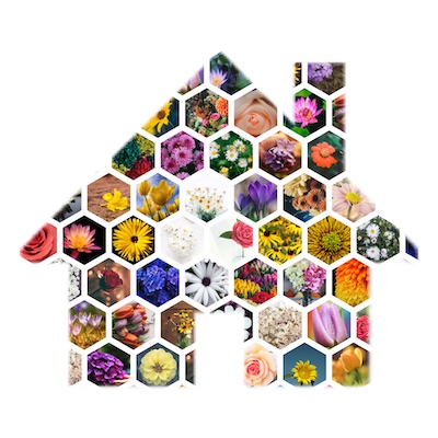 Shape collage with hexagonal cell style