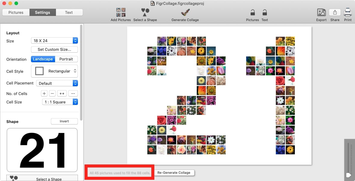 Screenshot of FigrCollage highlighting the message that tells us how many times the images are duplicated.