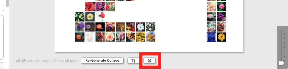 Screenshot of FigrCollage highlighting the control to remove a picture from the generated collage.