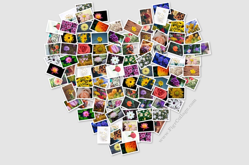 different shape collage maker