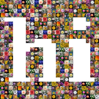 hi word shape collage