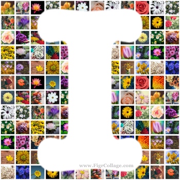 alphabet photo shape collage app