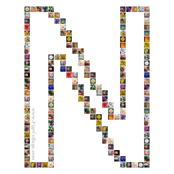Alphabet photo grid collage with pictures placed at the alphabet edges only