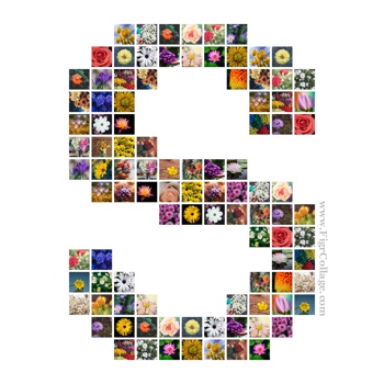 Alphabet photo grid collage