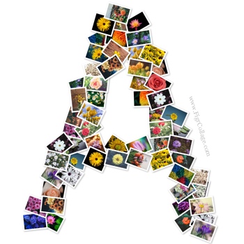 Make a Letter, Alphabet, or Text Photo Collage in 60 Seconds | FigrCollage