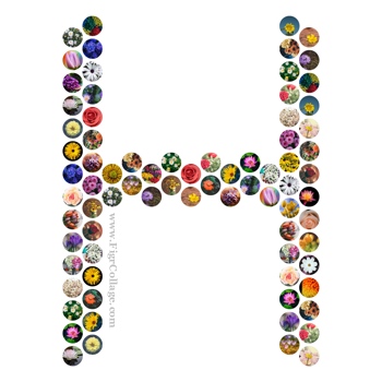 Letter collage made using a grid of circles