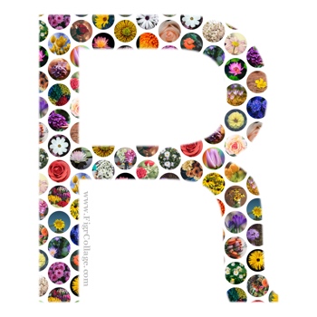 Letter collage made using a grid of circles and masked using letter