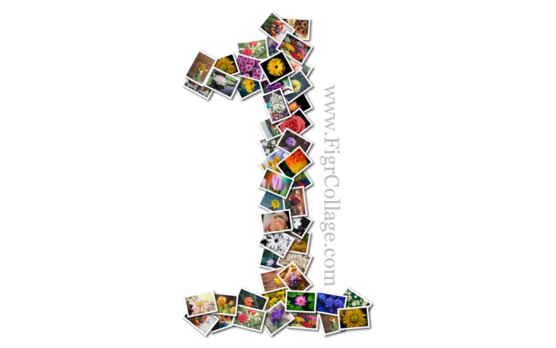 Make a Number Photo Collage in 60 Seconds FigrCollage