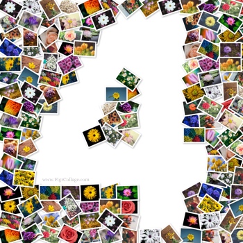 Number 4 photo pile collage with pictures placed outside number 4