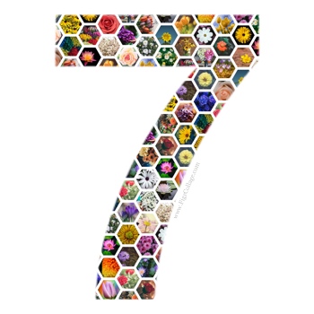 Number 7 collage made using a grid of hexagons and masked using the number