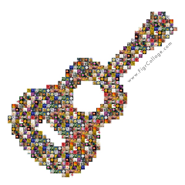 Photo collage of Guitar shape