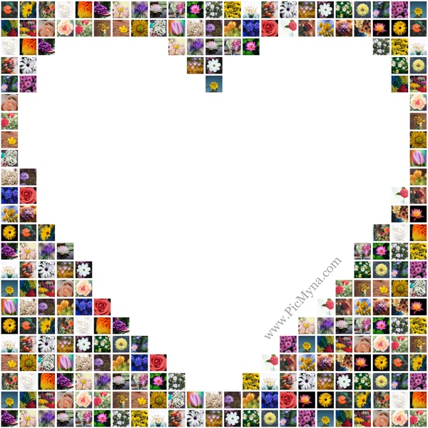 Heart collage with photos places outside heart shape