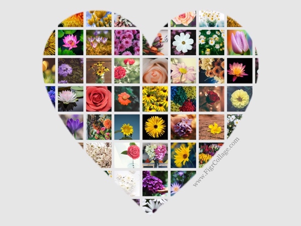 heart shape collage