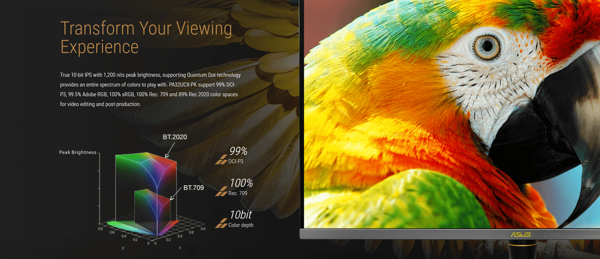 Rgb 100 200 200. Монитор RGB 100. 99rgb. Цвета IP. ASUS PROART pa279q.