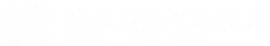 Narayana Schools - gurgaon-iffco-chowk-metro-station logo